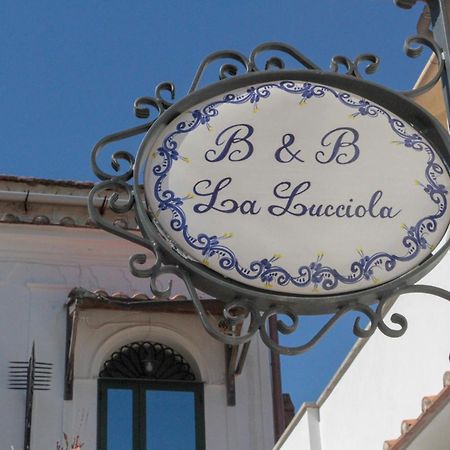 La Lucciola Apartment Amalfi Ngoại thất bức ảnh